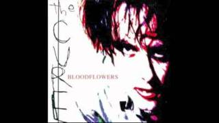 Watch Cure Us Or Them video