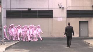 1000 pig costumes!!!