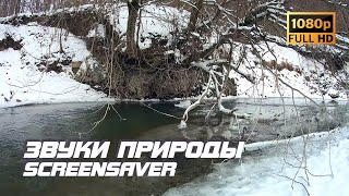 Живая Природа - Ручей | Река | Звуки Природы | Звуки Ручья | Шум Воды | Релаксация | Снятие Стресса