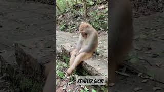 Bayram Temizliği Aklıma Gelmiştir Fakat Benim Aklımda Çalan Şarkı