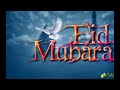 mubarak