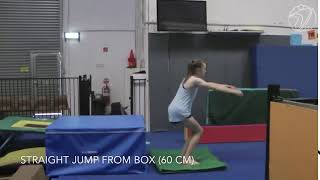 Straight Jump 60cm Box (Testing skill)