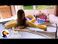 16-Foot Python Is So Gentle With Her Favorite Girl  | The Dodo Soulmates