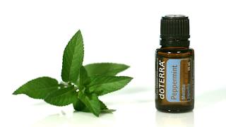 doTERRA Peppermint Oil