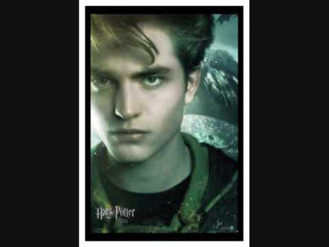 Roxy's Rant: Twilight Sucks