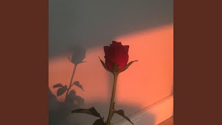 I Wont Wait To Love You