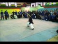 Kung Fu Baji Quan, uplouding by Master Amir Uzunovic, BiH