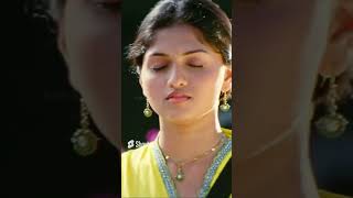 The Cute Romance Scene Sun Nxt Shorts
