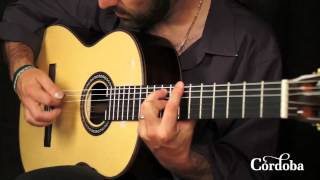 Cordoba Guitars - C10 Spruce