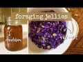 Foraging Dandelion and Wild Violet for Jelly