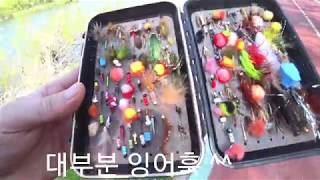 산란전 잉어낚시 먹성좋아요 ~ 바람이 문제 ^^?