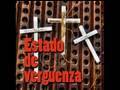 Estado de verguenza - Los Cenzontles