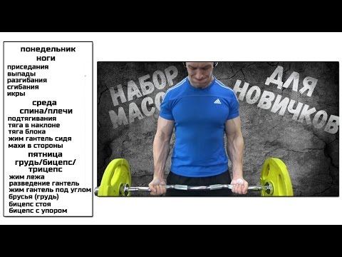 Программа тренировок на мышечную массу Программа тренировок на мышечную массу