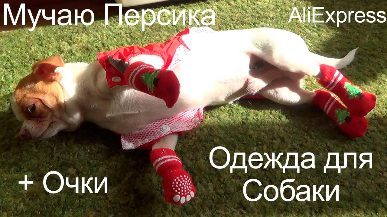 моя новая моя пьяная скачать моя новая моя пьяная скачать