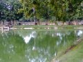 GREEN LAND PARK IN AUSTRALIA