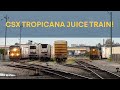 CSX Tropicana Juice Train in Tampa, FL!