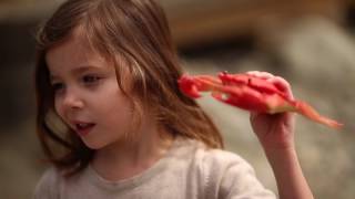 The Standard Lifestyle: Episode 3 - Hands on Museum in Olympia Washington