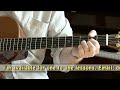 Guitar Tutorial - Black Velvet Band - Irish Folk Songs