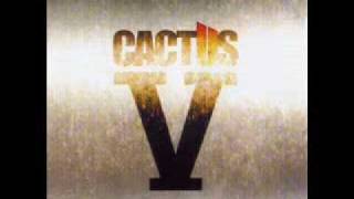 Watch Cactus Cactus Music video