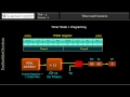 Microcontroller