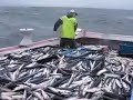 image Mancing Mania Di Lautan China