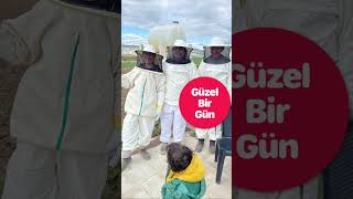 Acemi Arıcılık Maceramız Başlamıştır
