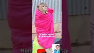 Monyet Ini Pintar Selesai Mandi Pakai Handuk