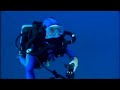 Humpback Ballet - Cousteau divers film close encounter