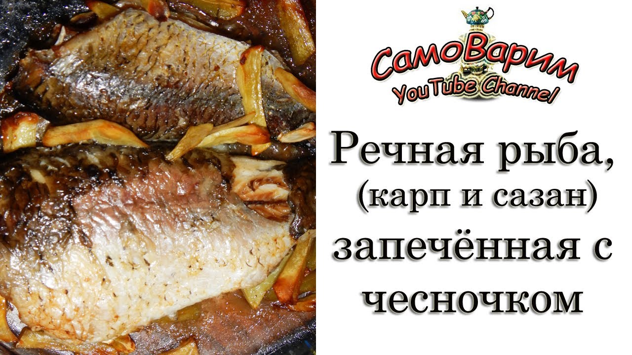 Карп речной в духовке рецепты Карп речной в духовке рецепты