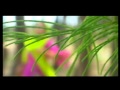 NEE SAJINI BEARY VIDEO.mpg