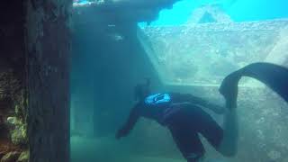 Guerrilla Combatives Skills Acquisition - Freedive training in Bayahibe, Dominican Republic.