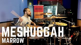 Watch Meshuggah Marrow video