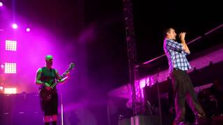 Watch 311 The Continuous Life video