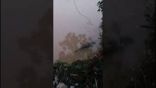Abg Bohay Setrek Besar Nih. Viral