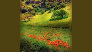 Nature Of Nocturno