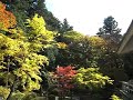 日光山内の紅葉：東照宮宝物館