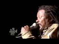 Luciano "JAH IS MY NAVIGATOR" (Live)