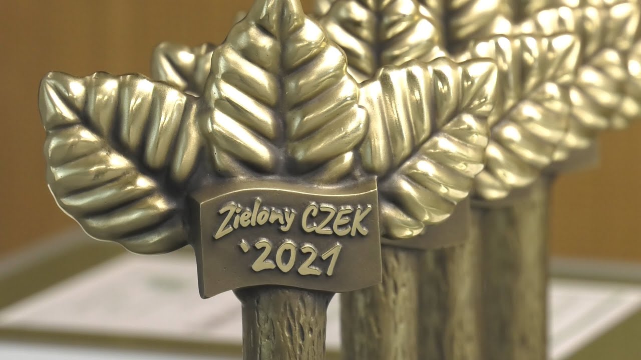 Zielone Czeki 2021