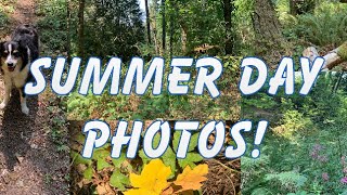 Hot Day Nature Photography With Cave Skel