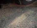 Mazda 626 coupe 2.0 burnout