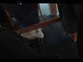 New Balance guy -- first contact