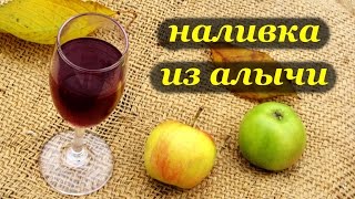 Рецепт наливки из алычи методом самосбраживания Рецепт наливки из алычи методом самосбраживания