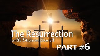 Episode #6 - Our Resurrection Bodies
