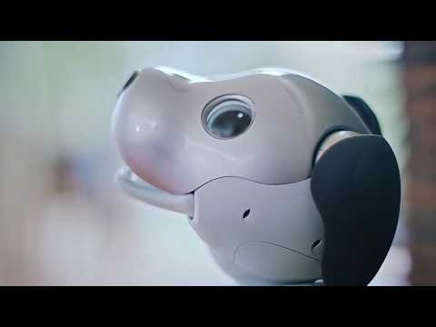 Sony เป็นปลื้ม ไอโบหุ่นยนต์สุนัข AI อัจฉริยะ ขายดิบขายดี
