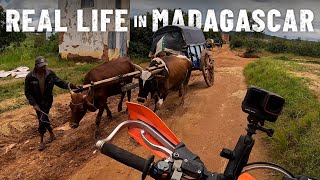 No electric cars: Ox-wagons instead. MADAGASCAR 🇲🇬[S7-E94]