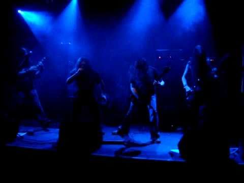 Intelligent Design Flaw (Live)