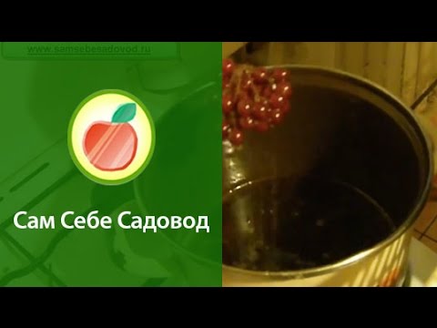 Из калины сам себе садовод Из калины сам себе садовод