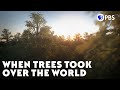 When Trees Took Over the World