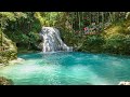 Blue Hole (Ocho Rios Jamaica) - Travel Video