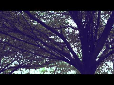 TEASER แค่ความสงสาร - Piia Piia (เปีย เปีย) thumb